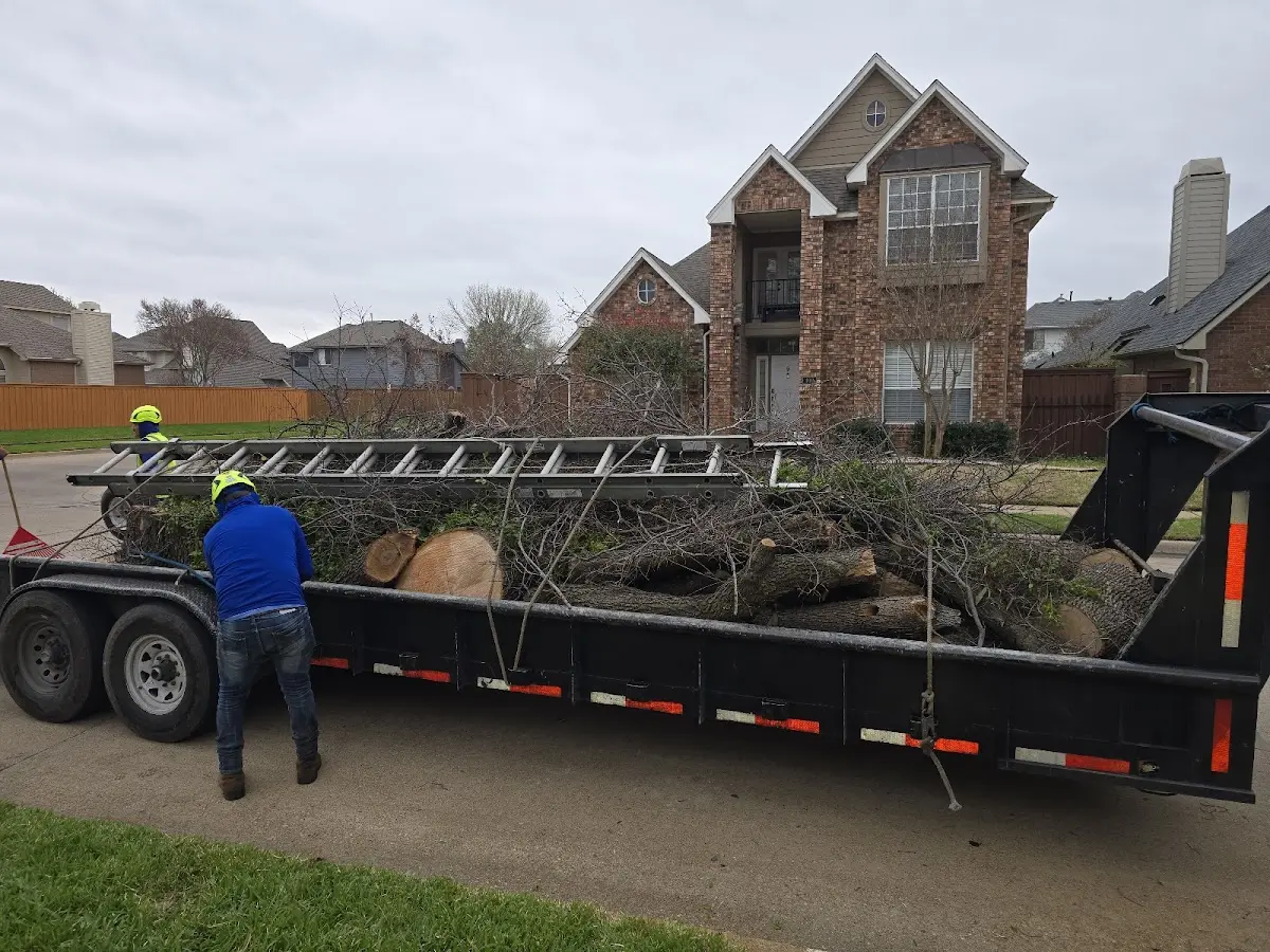 Expert Tree Fertilization with proper safety equipment in Poolesville